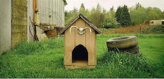 官方正在调查D加密对《全面战争：战锤3》的影响